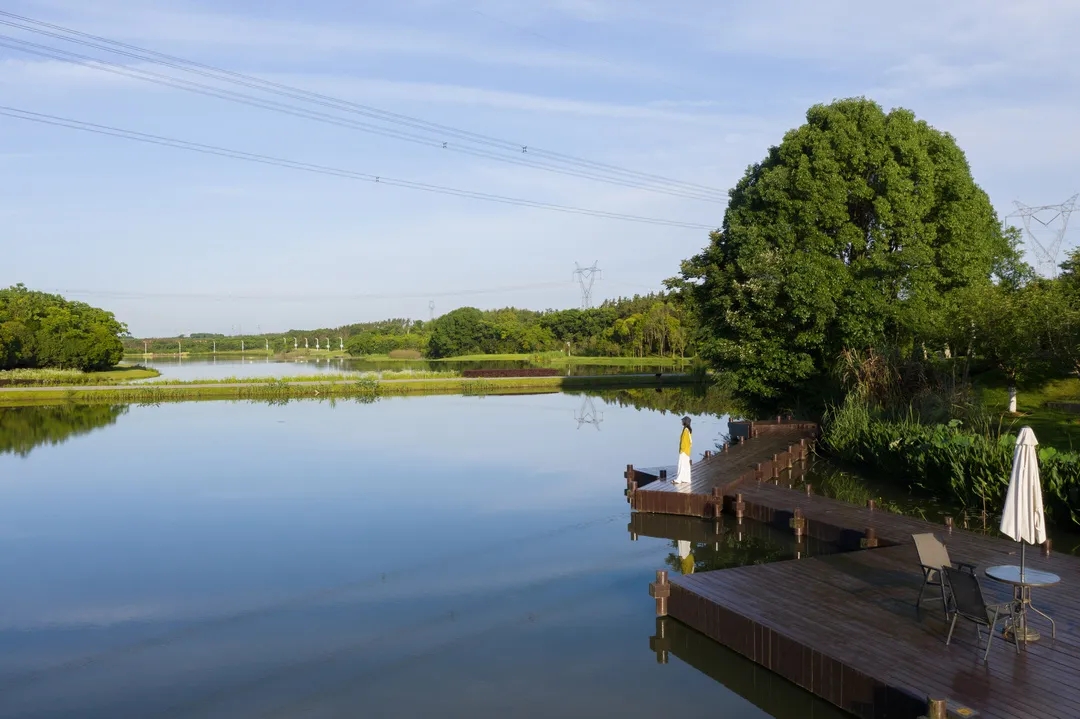 项目展示 | 仙鹤湖湿地园